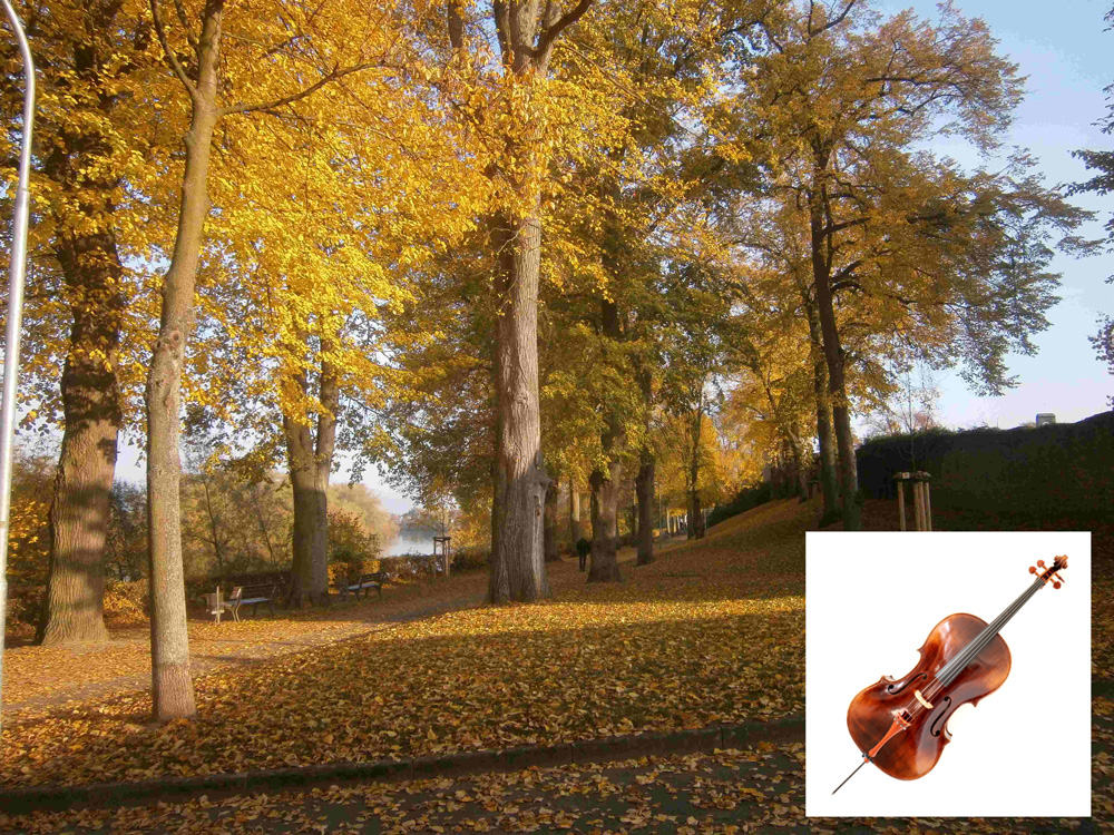 HERBSTLESE ZUM KLEINEN STREICHERFESTIVAL