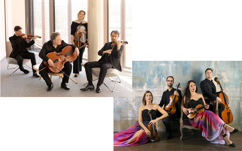 KLEINES STREICHERFESTIVAL Finale – beide Ensembles